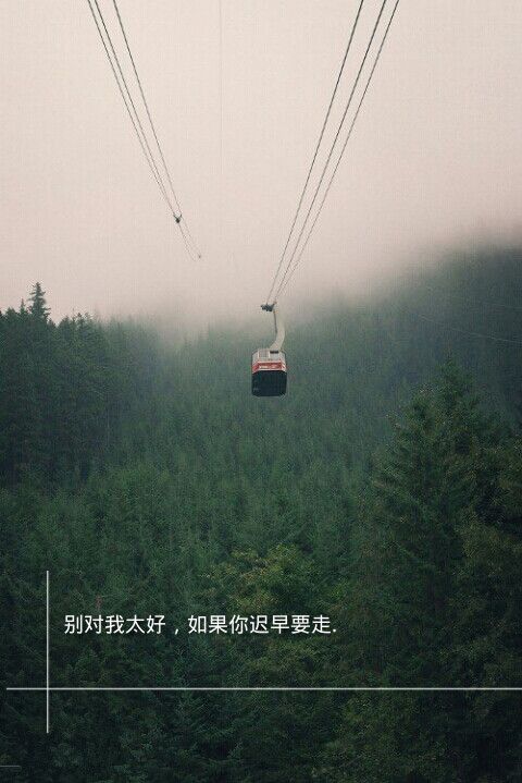 唯美图片，文字图片,情侣图片qqqqp