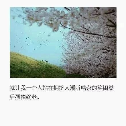 总有一些人会慢慢淡出你的生活，你要学会接受，而不是怀念
