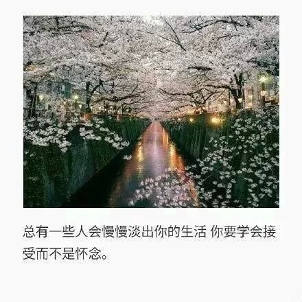 唯美图片，文字图片，动漫图片，情侣图片,qqqqp.com