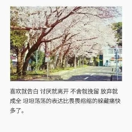 唯美图片，文字图片，动漫图片，情侣图片,qqqqp.com