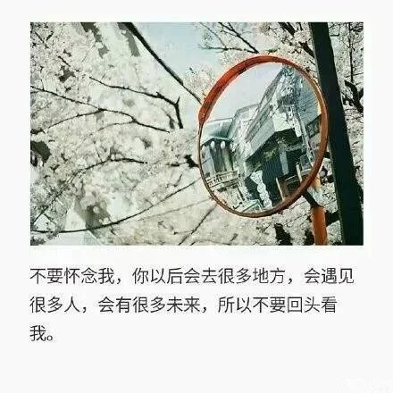 唯美图片，文字图片，动漫图片，情侣图片,qqqqp.com