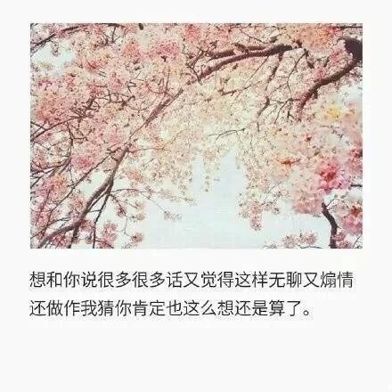 唯美图片，文字图片，动漫图片，情侣图片,qqqqp.com