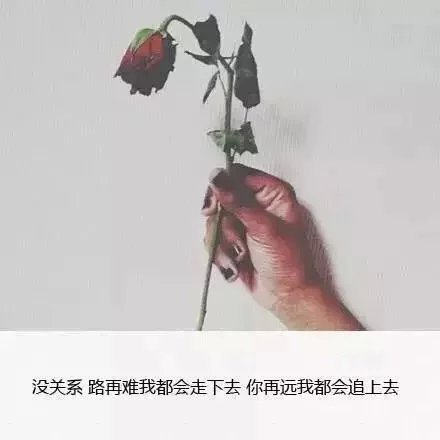 唯美图片，文字图片，动漫图片，情侣图片,qqqqp.com