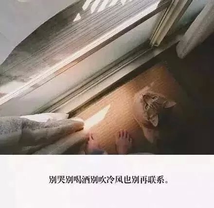 唯美图片，文字图片，动漫图片，情侣图片,qqqqp.com