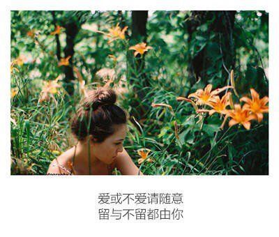 唯美图片，文字图片，动漫图片，情侣图片,qqqqp.com