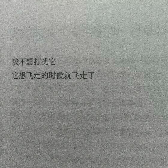 唯美图片，文字图片,情侣图片qqqqp