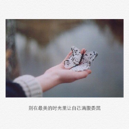 唯美图片，文字图片,情侣图片qqqqp