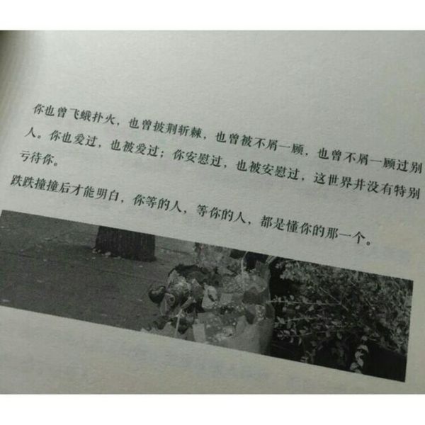 唯美图片，文字图片,情侣图片qqqqp
