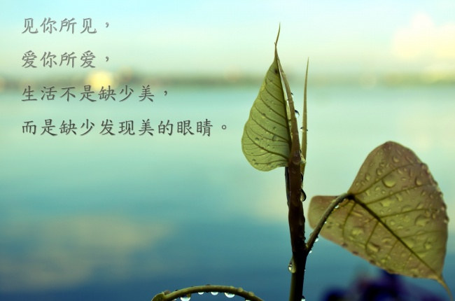 唯美图片，文字图片,情侣图片qqqqp