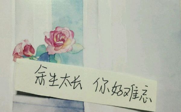 唯美图片，文字图片，动漫图片，情侣图片,qqqqp.com