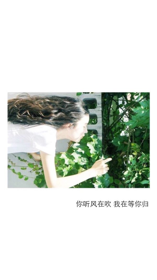 唯美图片，文字图片,情侣图片qqqqp