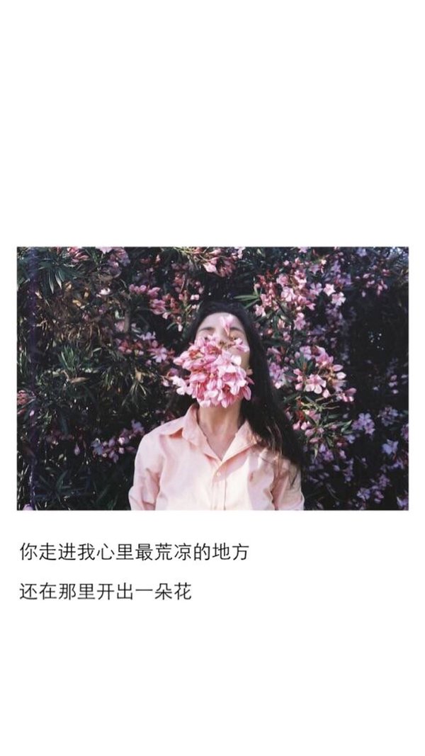 风会带来你的消息 即使你从未被提起