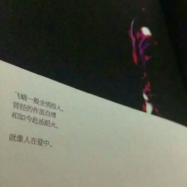 唯美图片，文字图片,情侣图片qqqqp