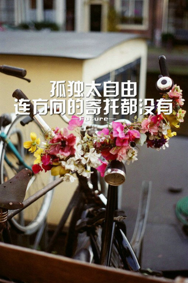 唯美图片，文字图片，动漫图片，情侣图片,qqqqp.com