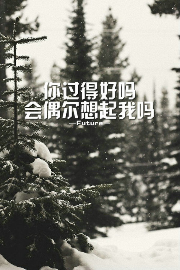 唯美图片，文字图片，动漫图片，情侣图片,qqqqp.com