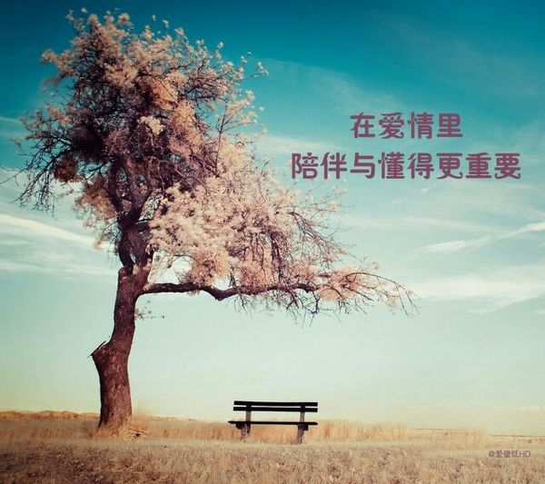 唯美图片，文字图片,情侣图片qqqqp