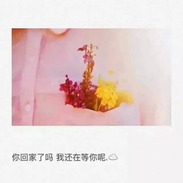 唯美图片，文字图片，动漫图片，情侣图片,qqqqp.com