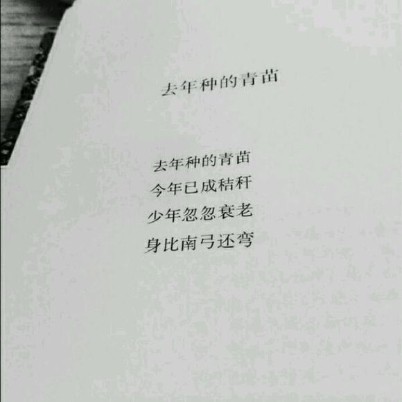 唯美图片，文字图片,情侣图片qqqqp