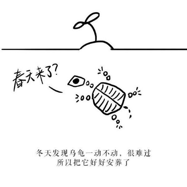 唯美图片，文字图片,情侣图片qqqqp