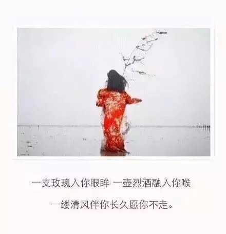 唯美图片，文字图片,情侣图片qqqqp
