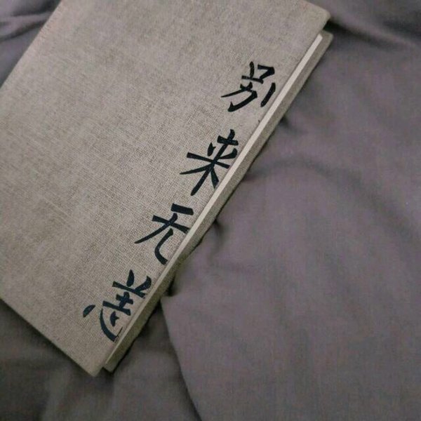 明明不是我的错