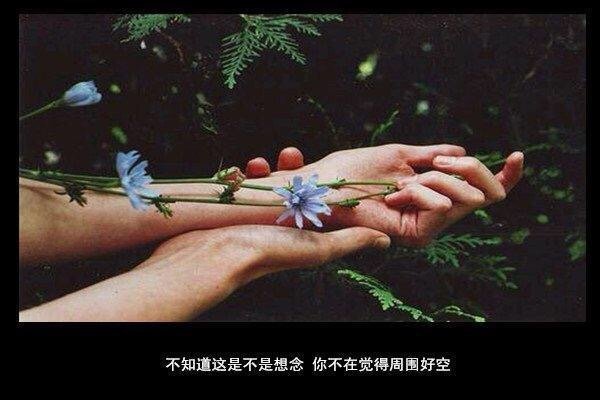 唯美图片，文字图片,情侣图片qqqqp