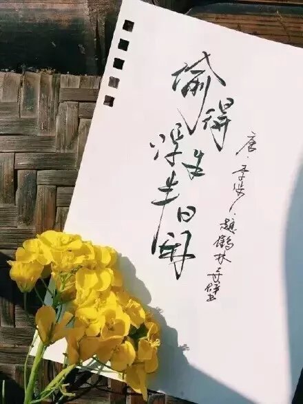 唯美图片，文字图片，动漫图片，情侣图片,qqqqp.com