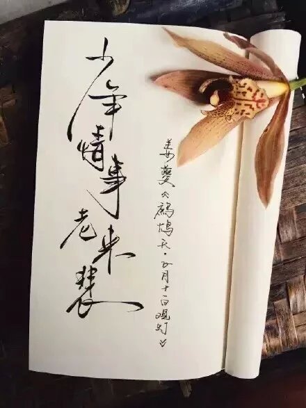 似曾相识燕归来