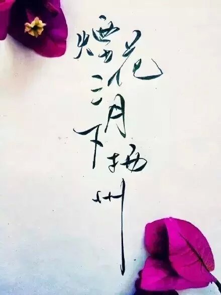 唯美图片，文字图片，动漫图片，情侣图片,qqqqp.com