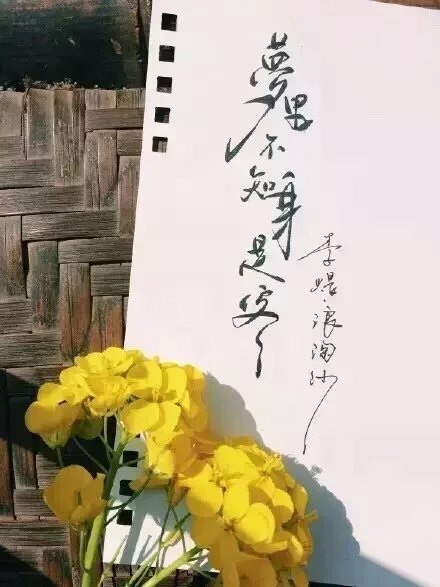 唯美图片，文字图片，动漫图片，情侣图片,qqqqp.com