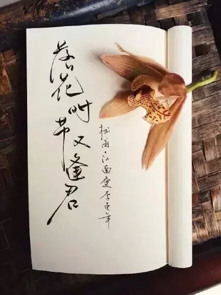 唯美图片，文字图片，动漫图片，情侣图片,qqqqp.com