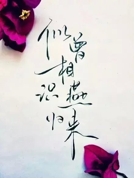 唯美图片，文字图片，动漫图片，情侣图片,qqqqp.com