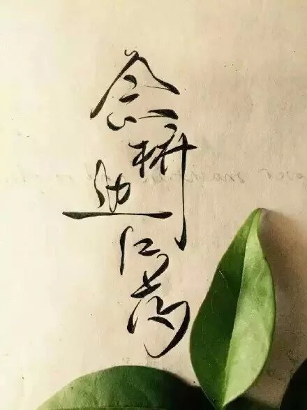 唯美图片，文字图片，动漫图片，情侣图片,qqqqp.com