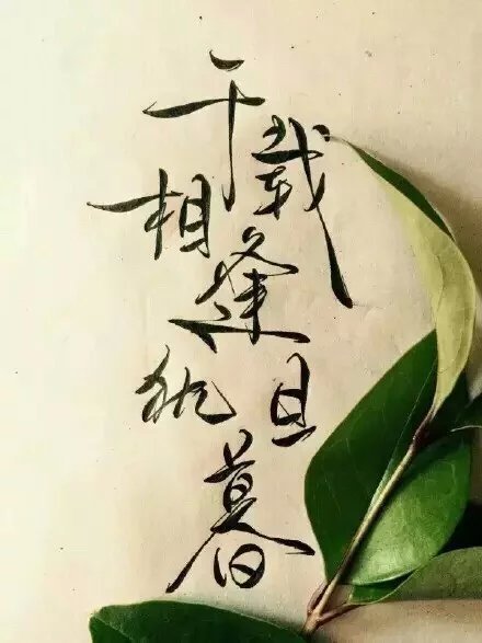唯美图片，文字图片，动漫图片，情侣图片,qqqqp.com