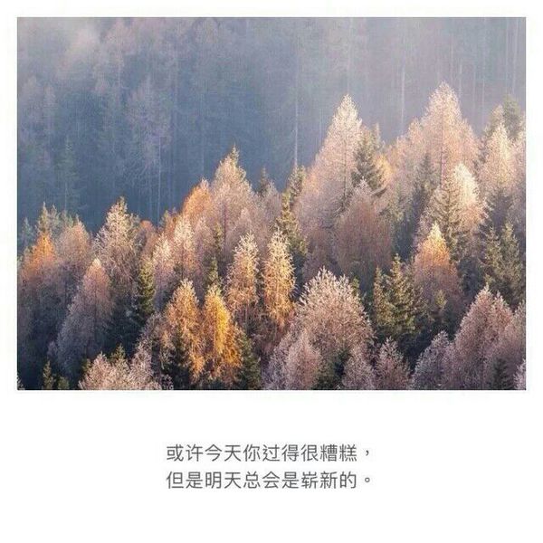 我试着恨你，却想起你的笑容
