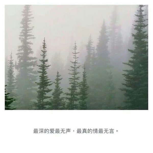 唯美图片，文字图片,情侣图片qqqqp