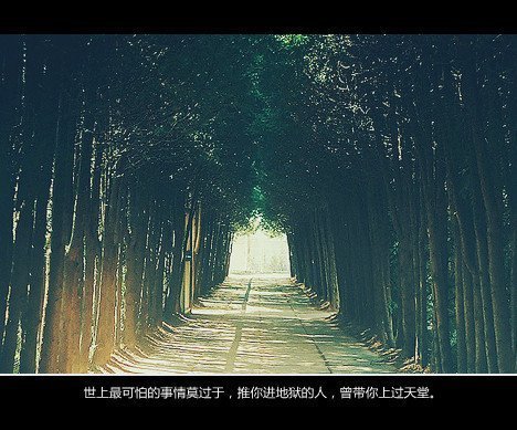唯美图片，文字图片,情侣图片qqqqp