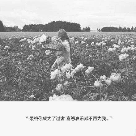 唯美图片，文字图片,情侣图片qqqqp