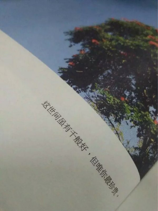 唯美图片，文字图片,情侣图片qqqqp