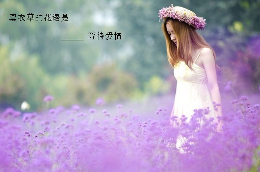 唯美图片，文字图片,情侣图片qqqqp