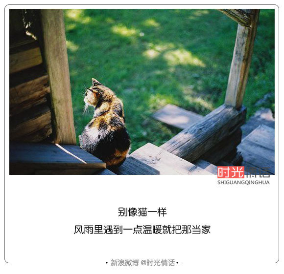 你喜欢的东西不要只羡慕不努力