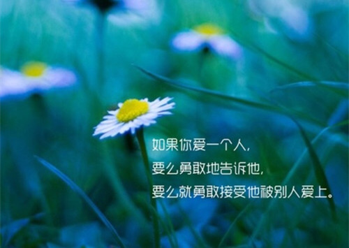 安全感太少，所以怀疑