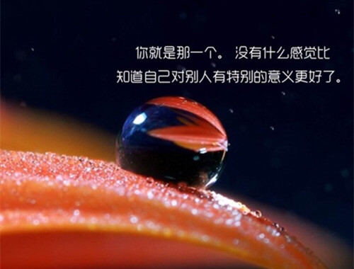 唯美图片，文字图片,情侣图片qqqqp