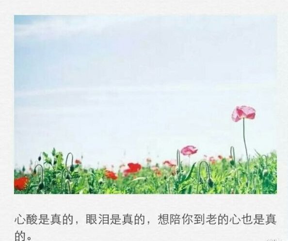 唯美图片，文字图片,情侣图片qqqqp
