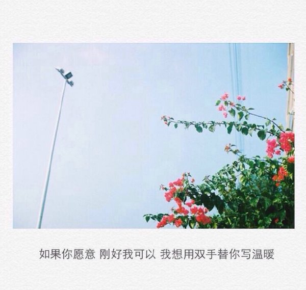 唯美图片，文字图片,情侣图片qqqqp
