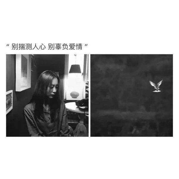 唯美图片，文字图片,情侣图片qqqqp