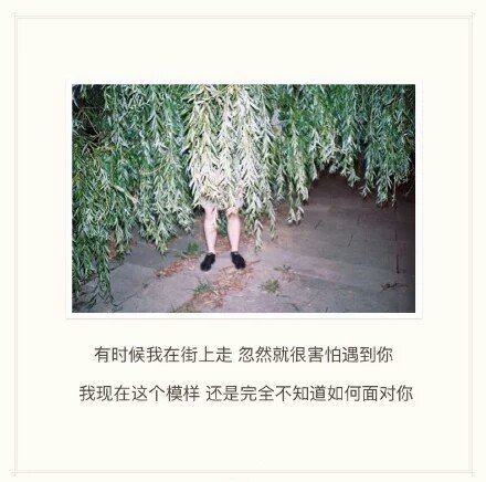 唯美图片，文字图片,情侣图片qqqqp
