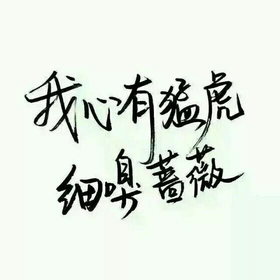 唯美图片，文字图片,情侣图片qqqqp