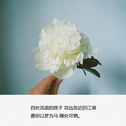 唯美图片，文字图片,情侣图片qqqqp