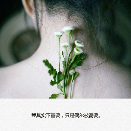唯美图片，文字图片,情侣图片qqqqp